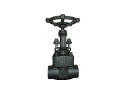 |Forged steel globe valve|