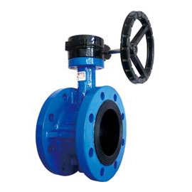 |Worm flange butterfly valve|