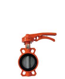 |Nylon Coated butterfly valve|