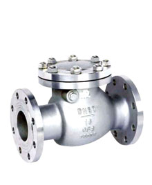 |SS Swing check valve|