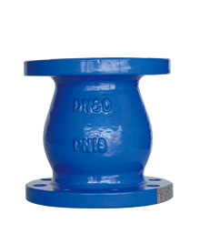 |Cast Iron Flange end silent check valve|